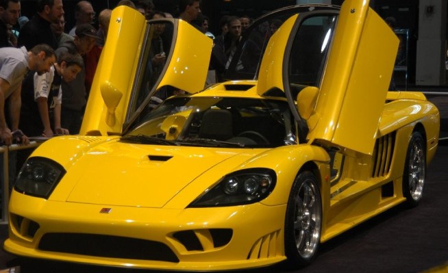 saleen09.jpg